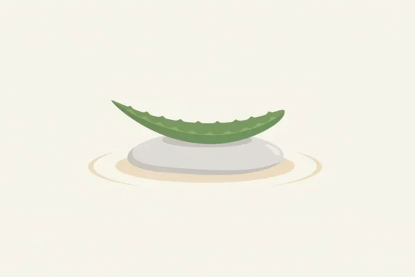 Waxing Loyalty Programs: Are They Worth It in 2026?