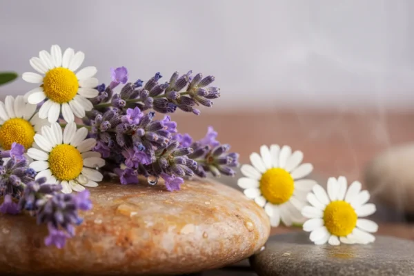 Waxing Studios: Scented Success in 2027
